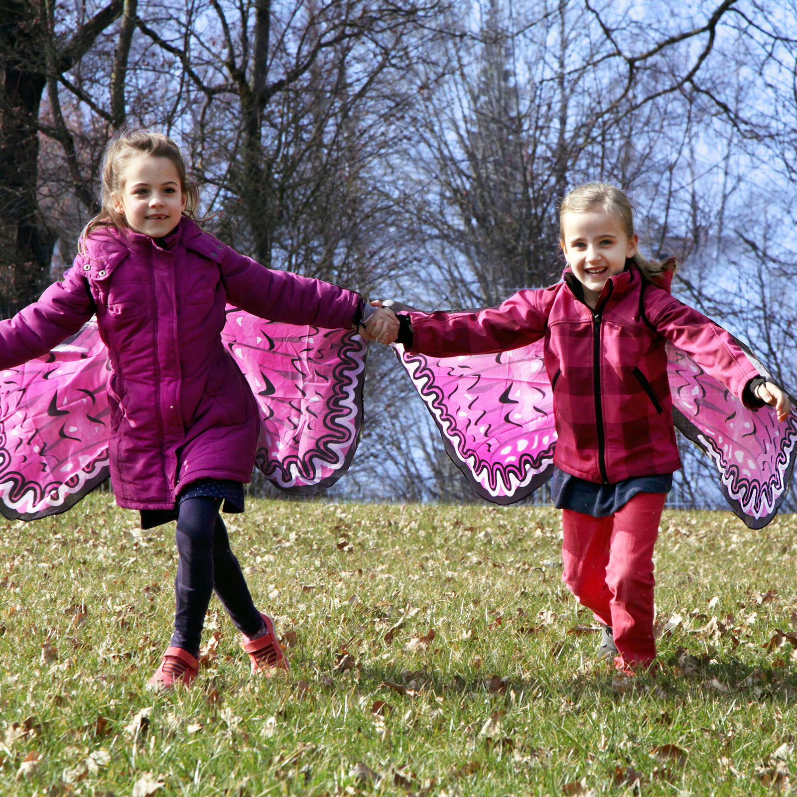 205-273_feenfluegel_4er_d