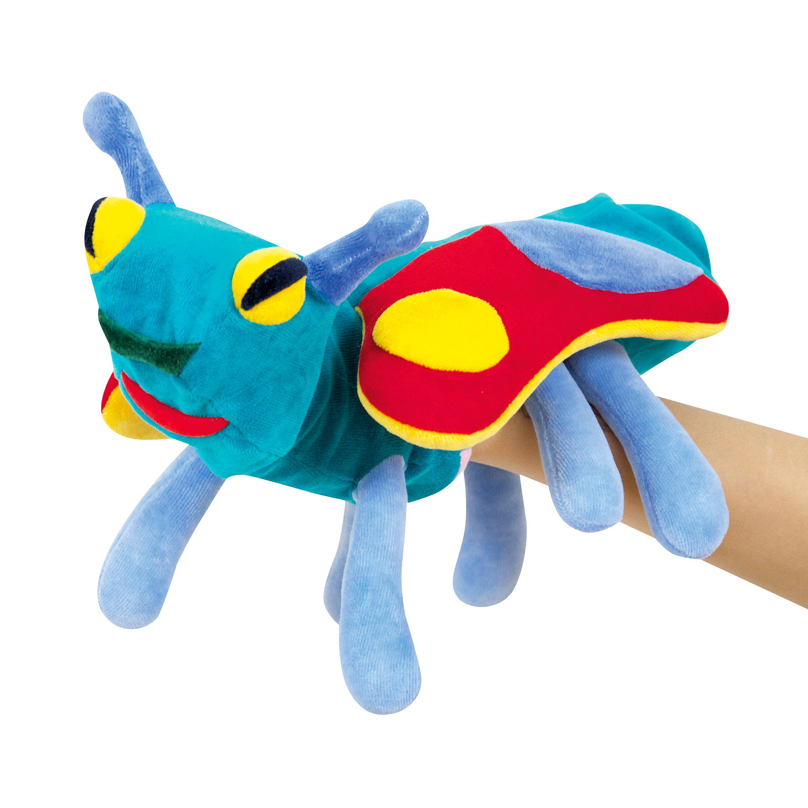 Zestaw Metamorfozy Jajko i Gąsienica Zestaw Metamorfozy Jajko i Gąsienica