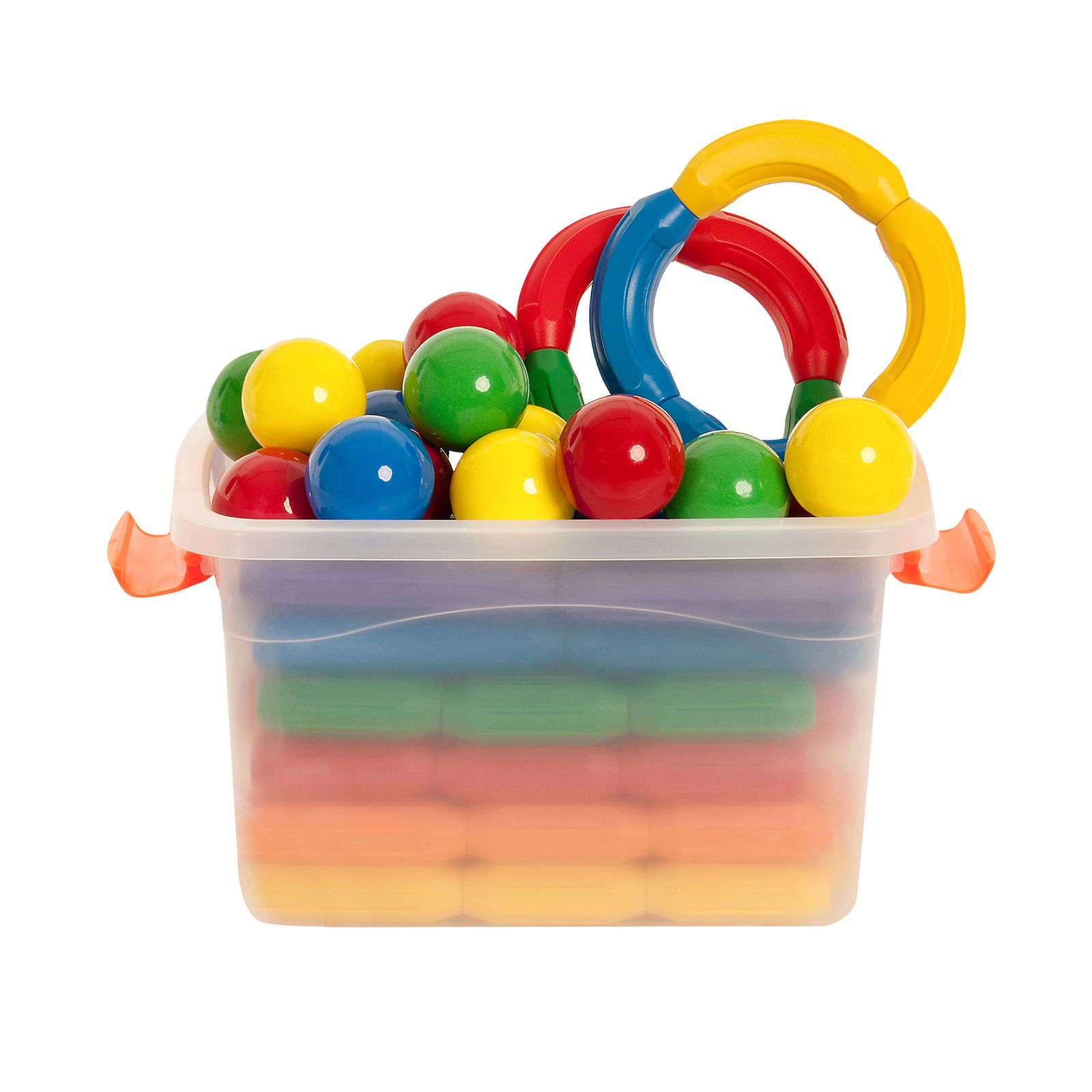 302-244_magneticus_f 302-244_magneticus_f