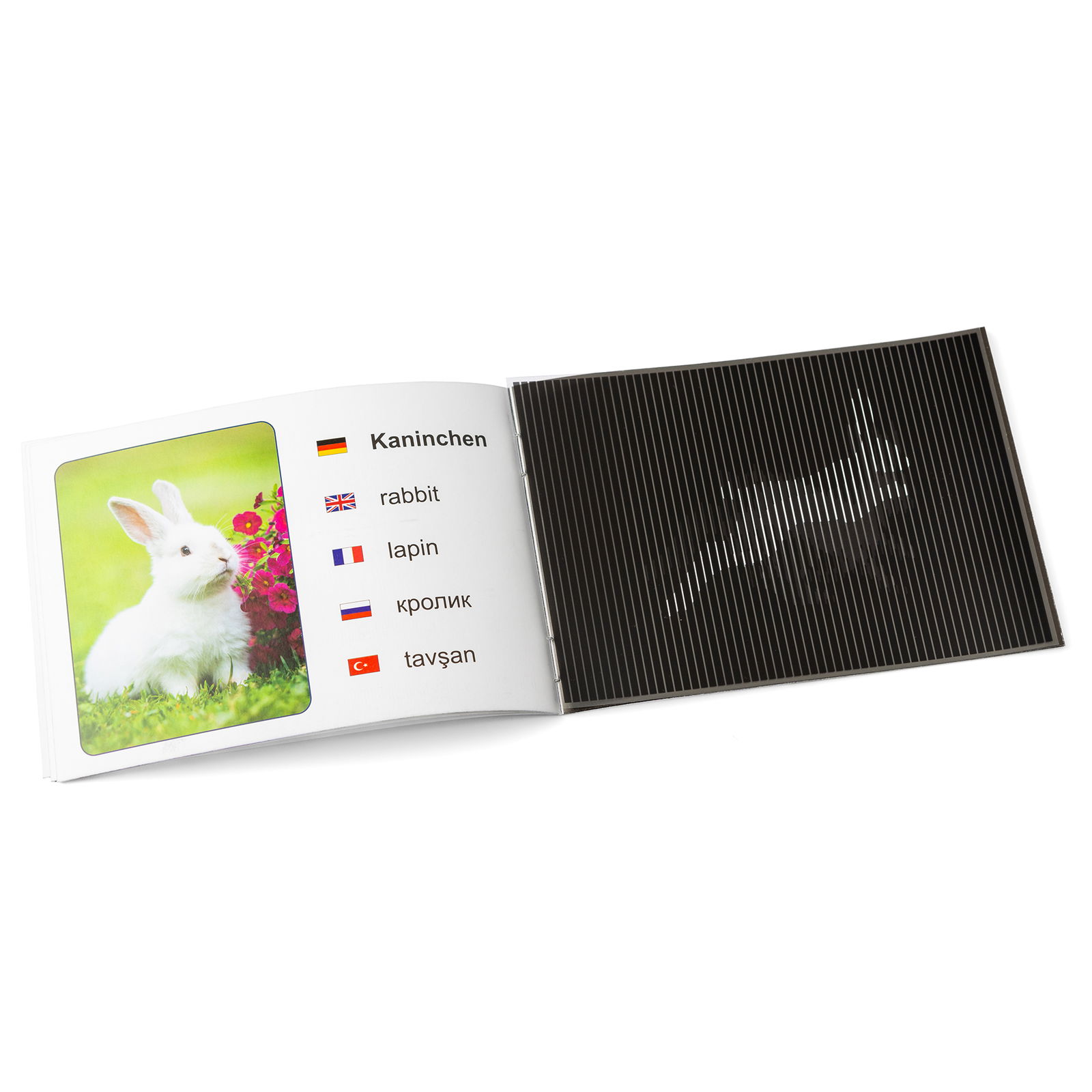 601-101_tier_zauberbuch_20er_c