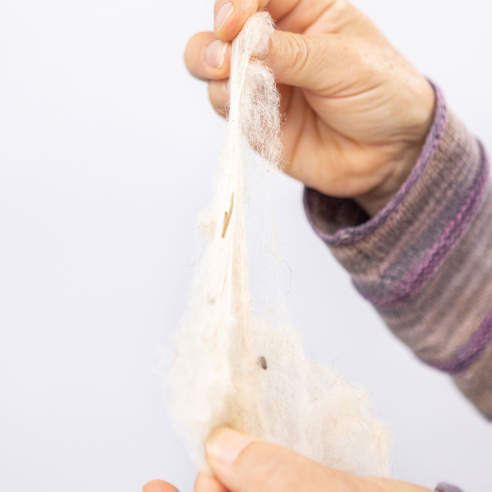 502-405_fadenspinner_flockenwolle_b 502-405_fadenspinner_flockenwolle_b