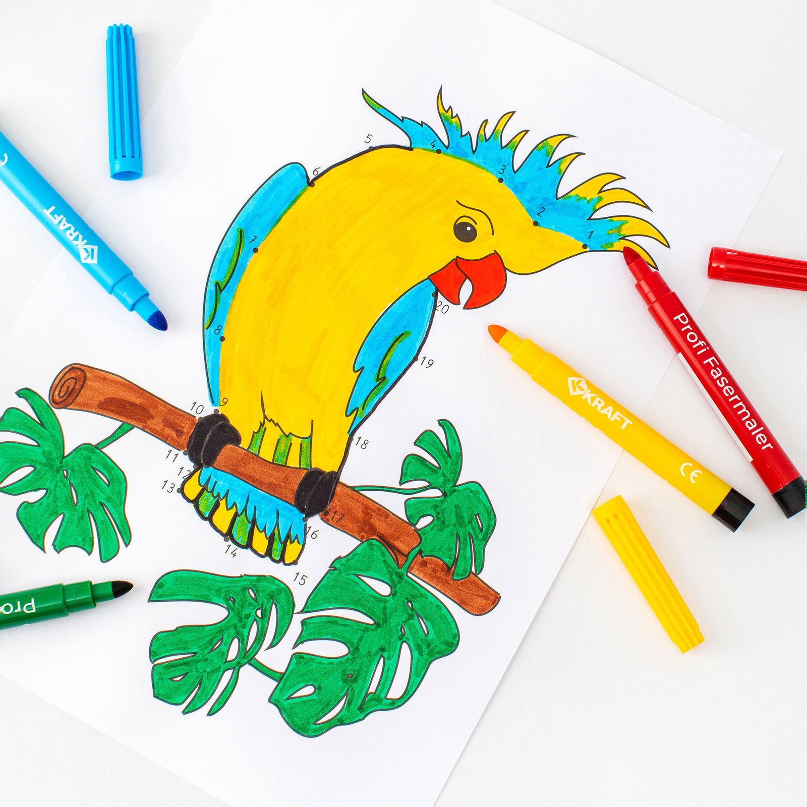 Paint by Numbers Paint by Numbers