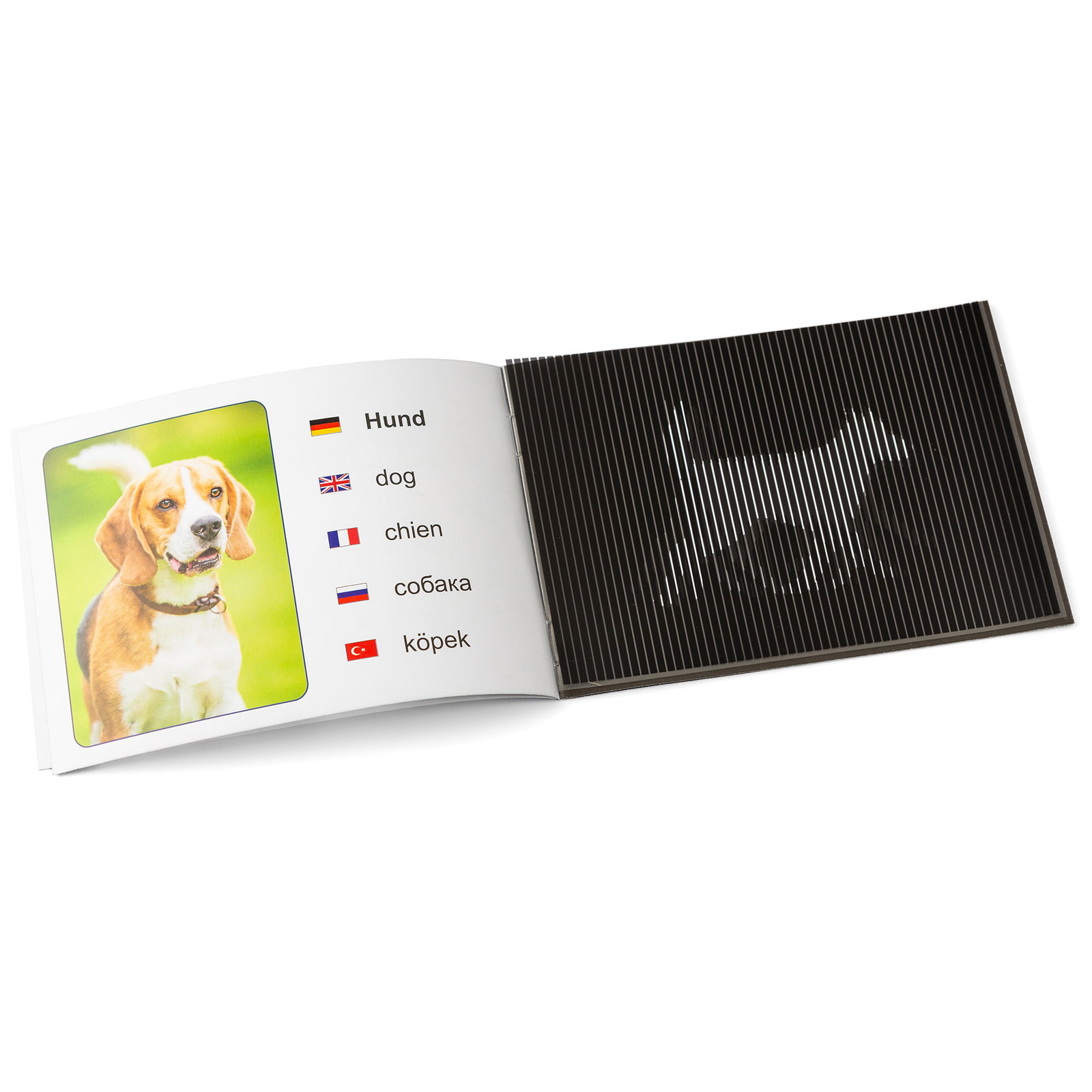 601-101_tier_zauberbuch_20er_d