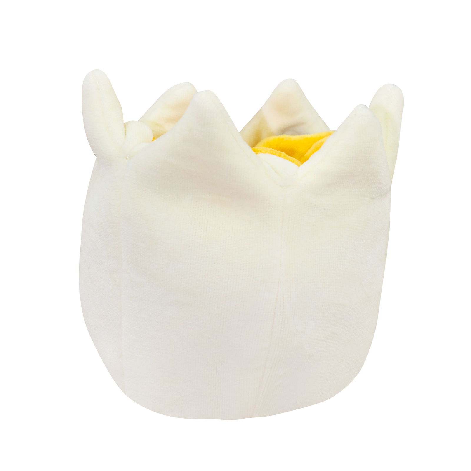 Zestaw Metamorfozy Jajko i Gąsienica Zestaw Metamorfozy Jajko i Gąsienica