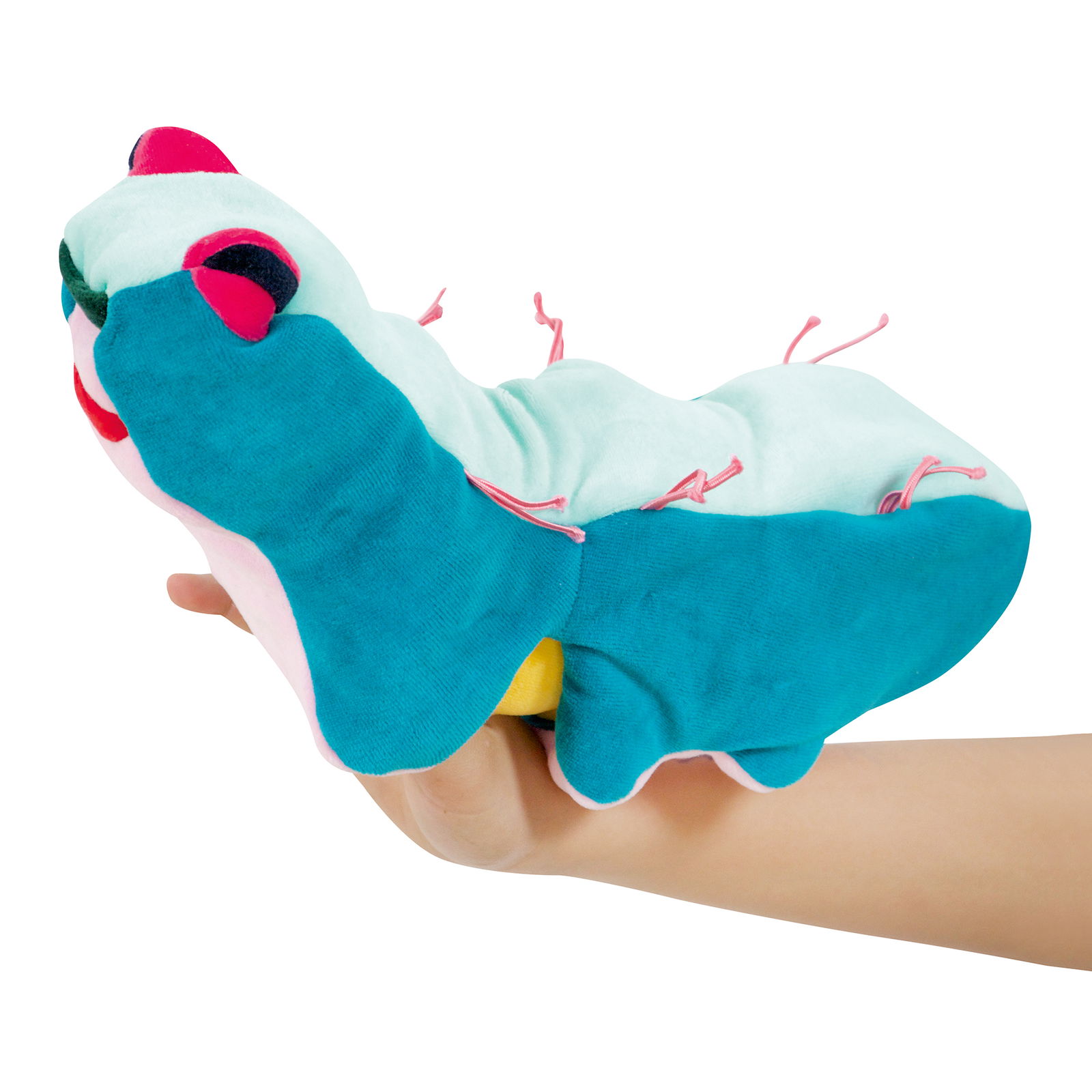 Zestaw Metamorfozy Jajko i Gąsienica Zestaw Metamorfozy Jajko i Gąsienica