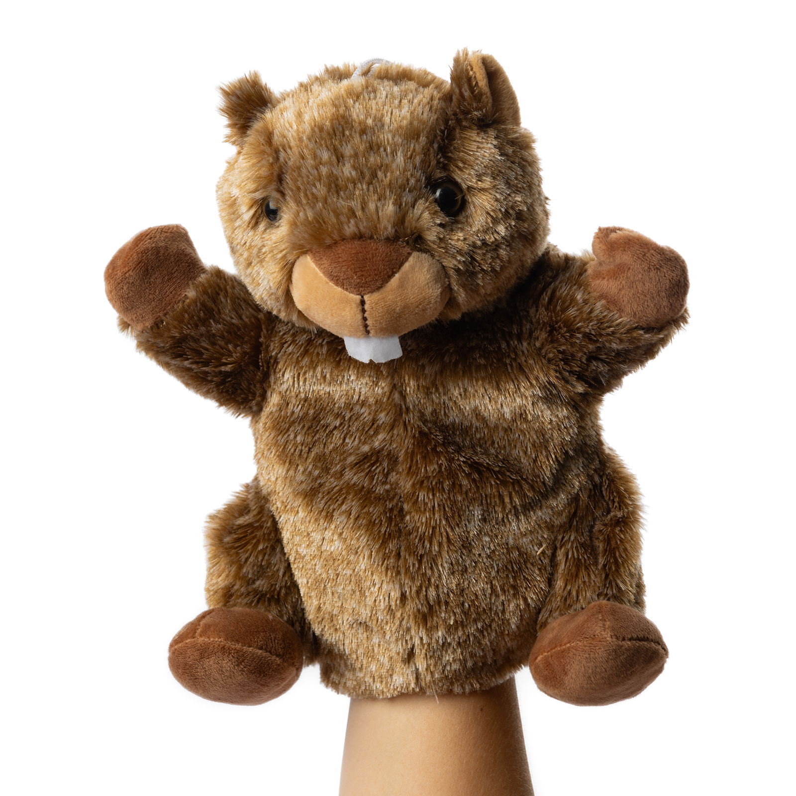 Beaver Justin, hand puppet Beaver Justin, hand puppet