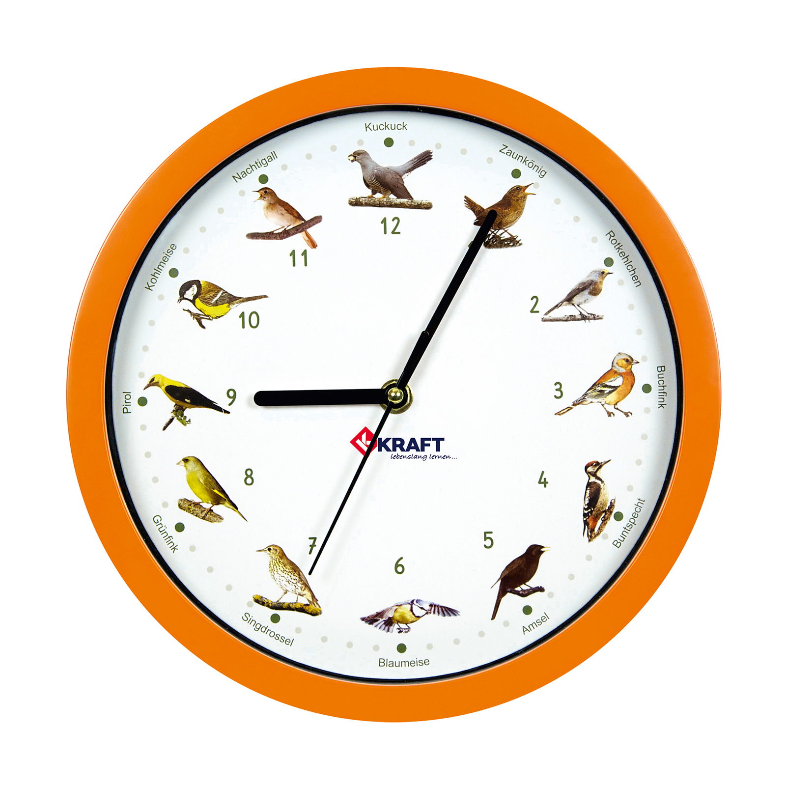 Vogeluhr, Wanduhr