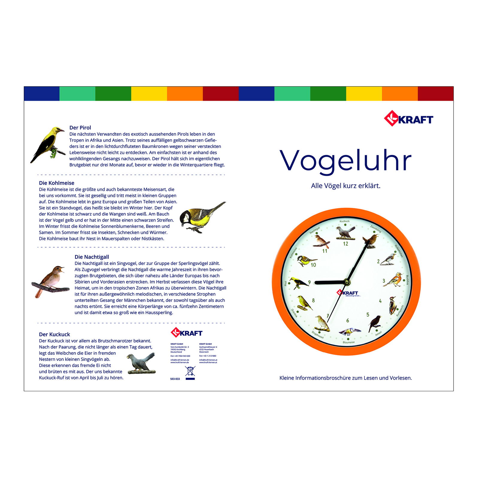 Bird clock, wall clock Bird clock, wall clock