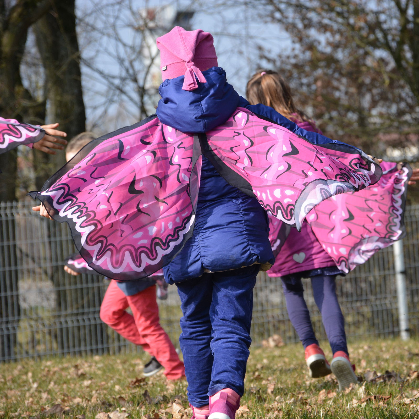 Feenflügel