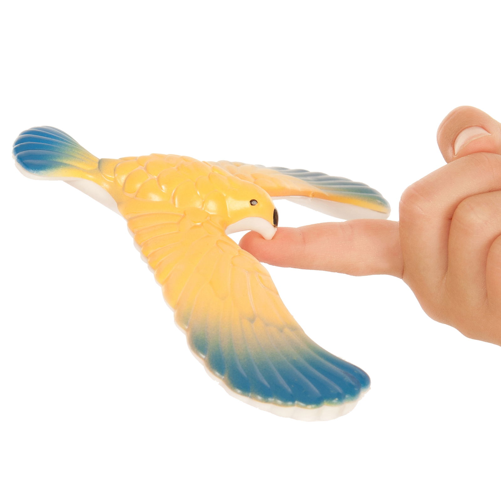 602-241_magischervogel_c 602-241_magischervogel_c