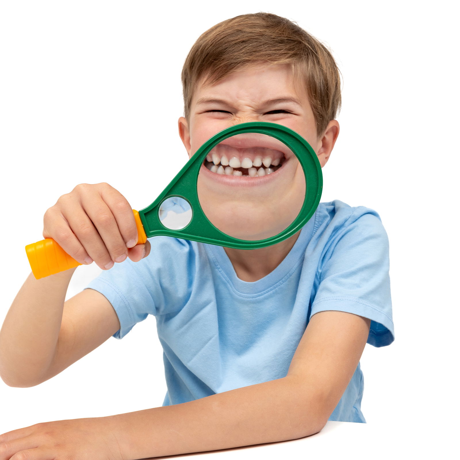 Lupa gigante Lupa gigante