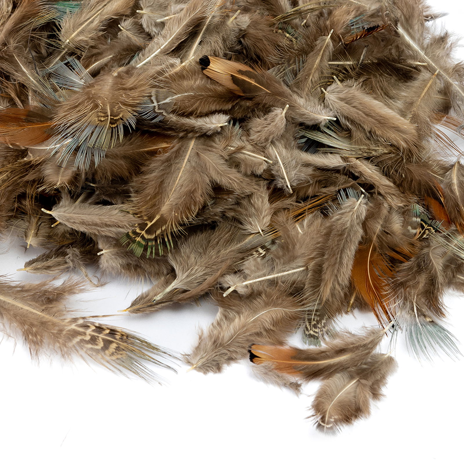 Naravna peresa, 3 različne vrste peres, komplet 200 kosov Naravna peresa, 3 različne vrste peres, komplet 200 kosov