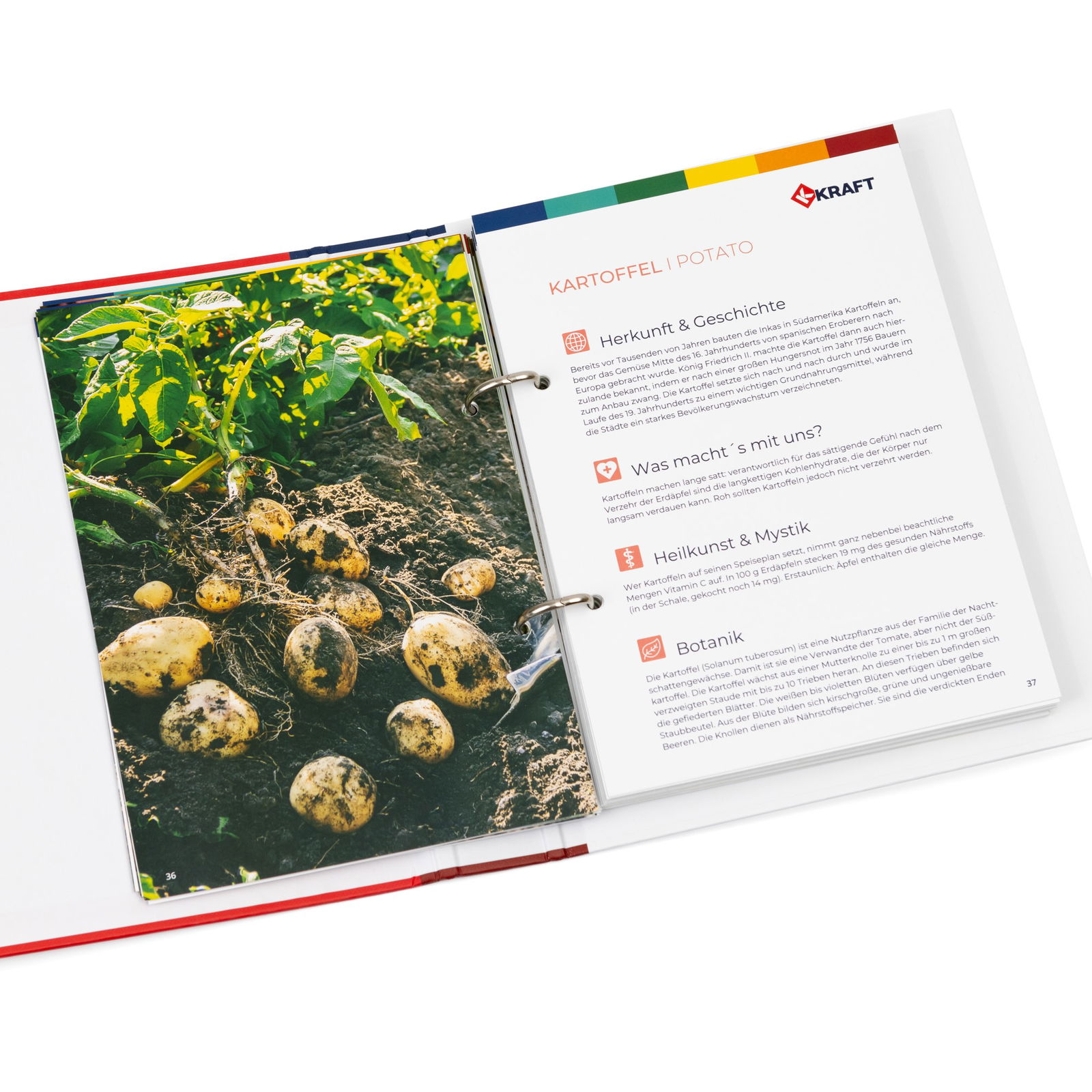 Vegetable Detective I Spy Scene Game Vegetable Detective I Spy Scene Game