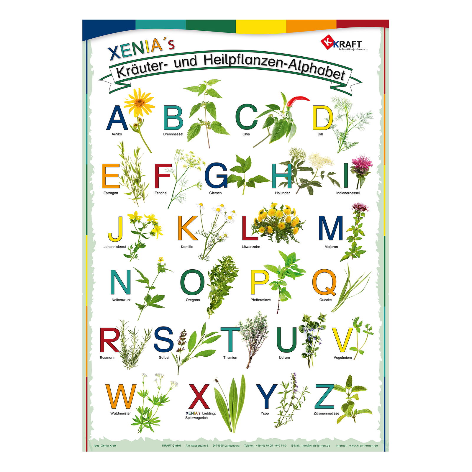 Herb Poster Herb Poster