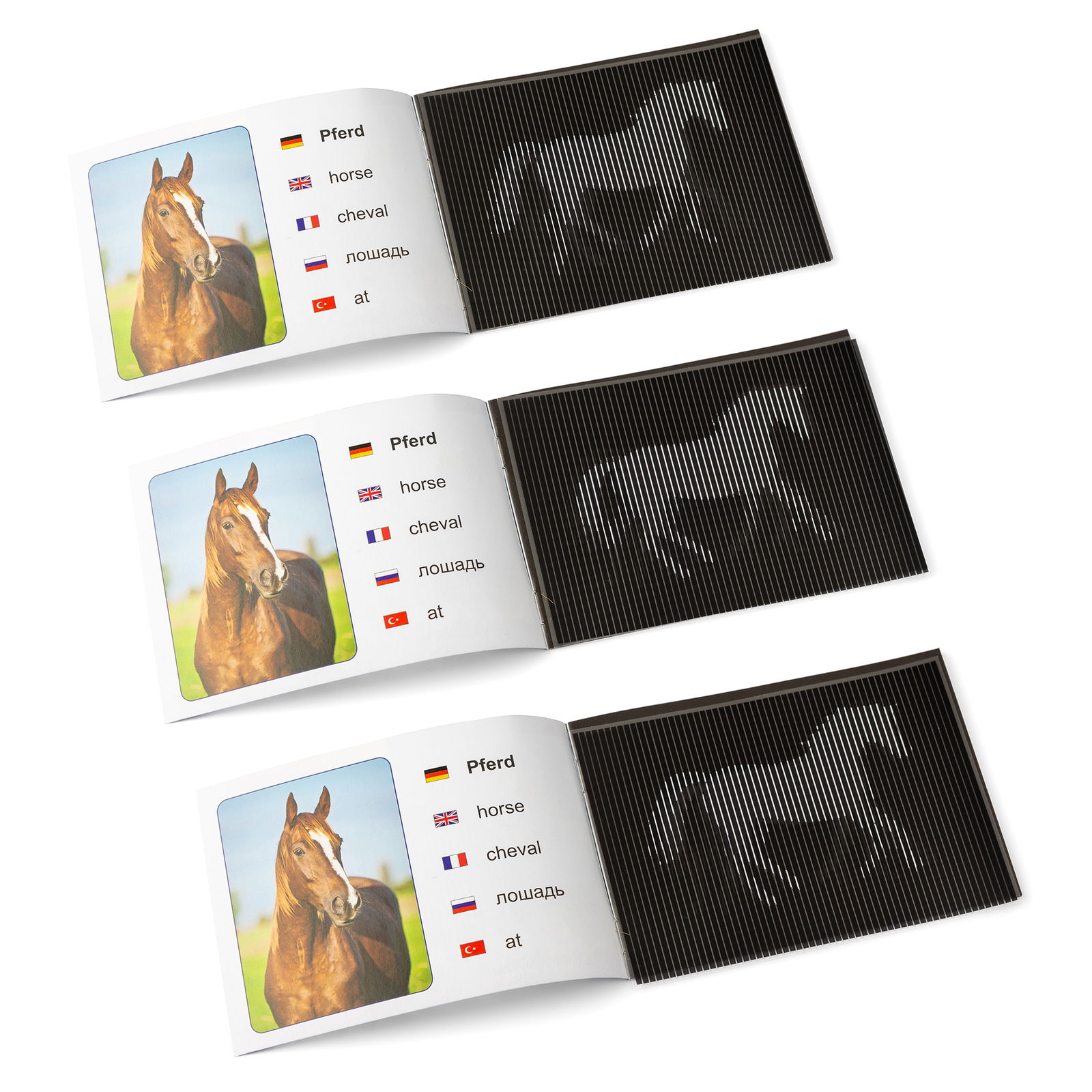 601-101_tier_zauberbuch_20er_e