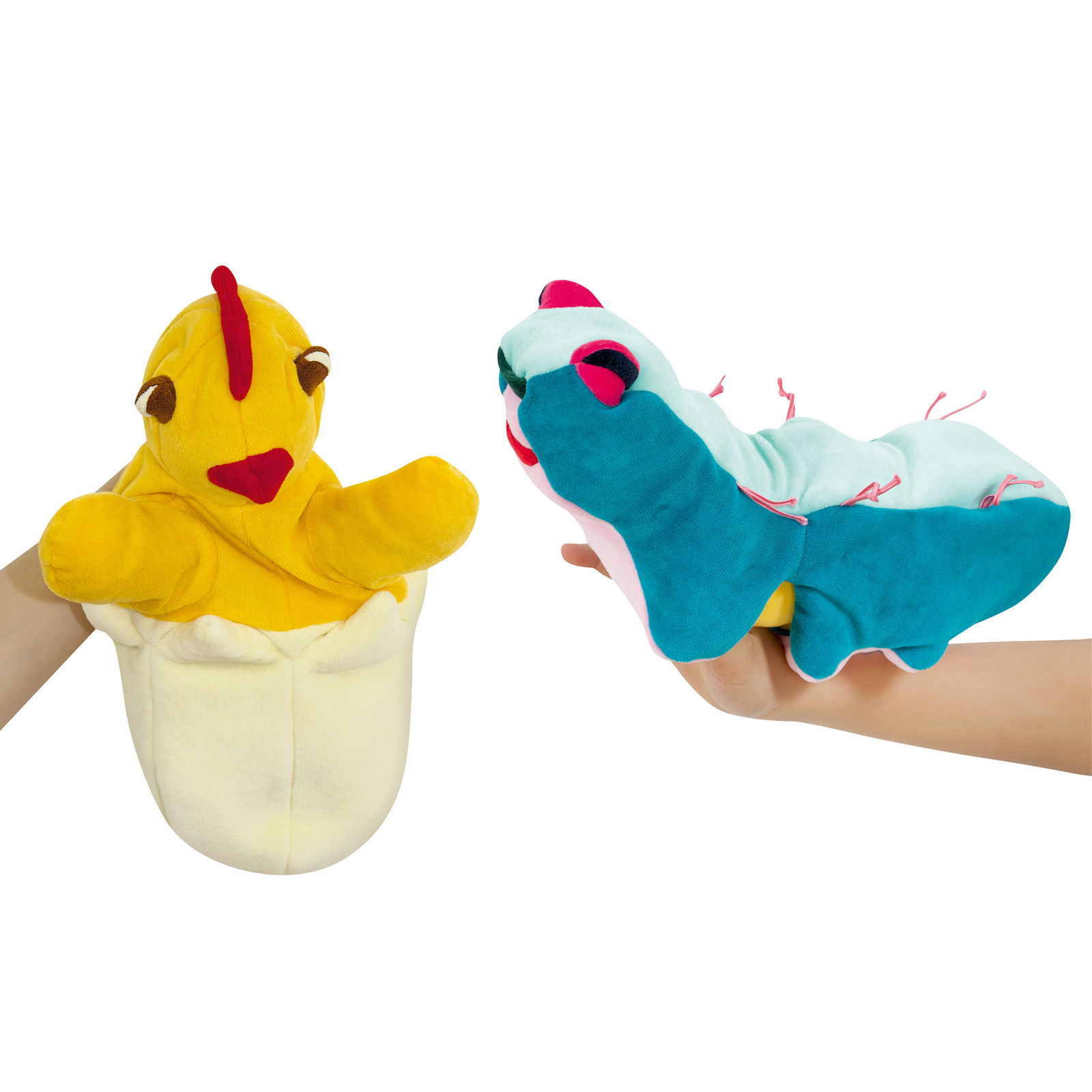 Zestaw Metamorfozy Jajko i Gąsienica Zestaw Metamorfozy Jajko i Gąsienica