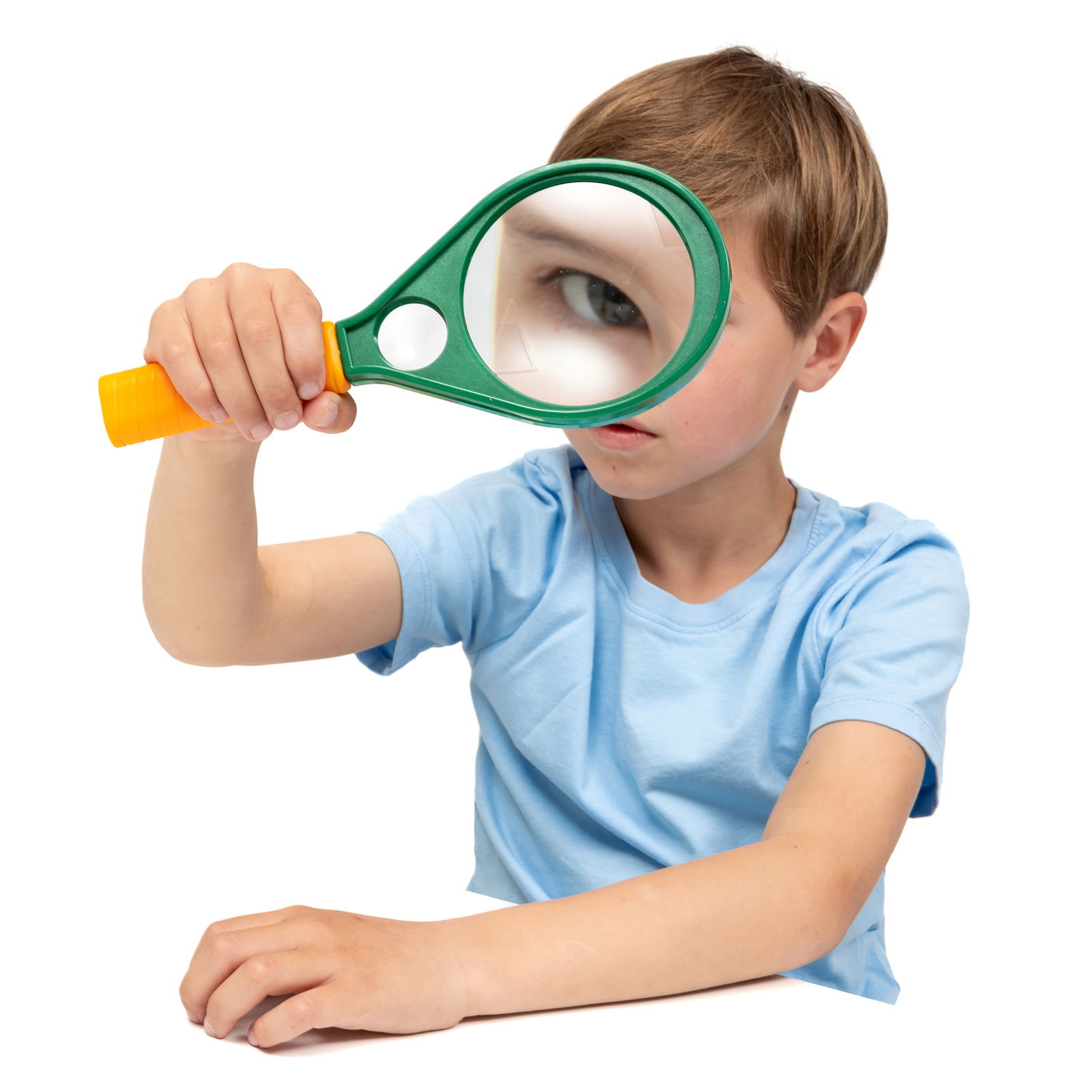 Lupa gigante Lupa gigante