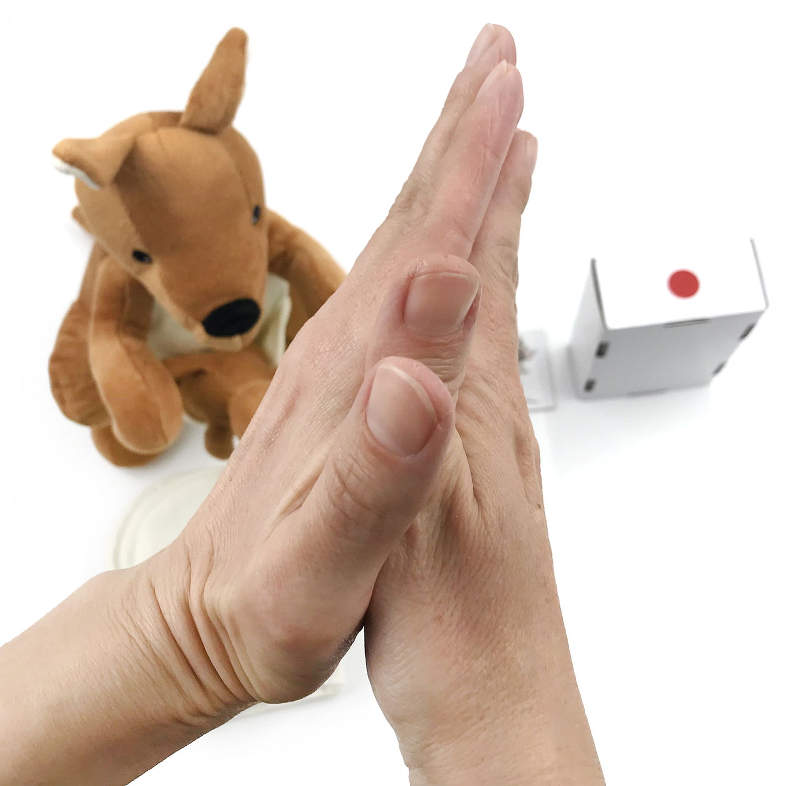 Kengur kofer Kengur kofer