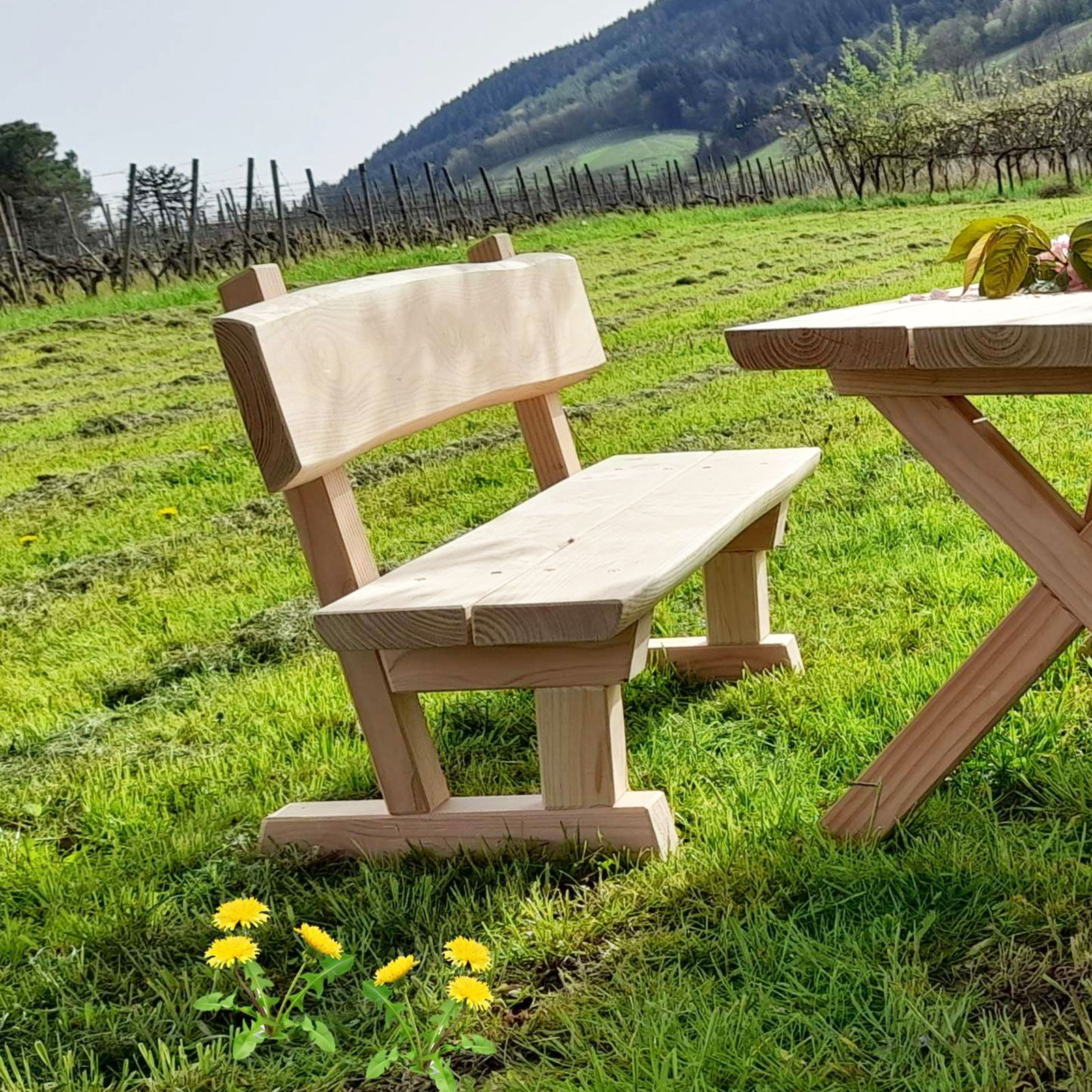 Vrtna klupa s naslonom, drvo, vrtić Vrtna klupa s naslonom, drvo, vrtić