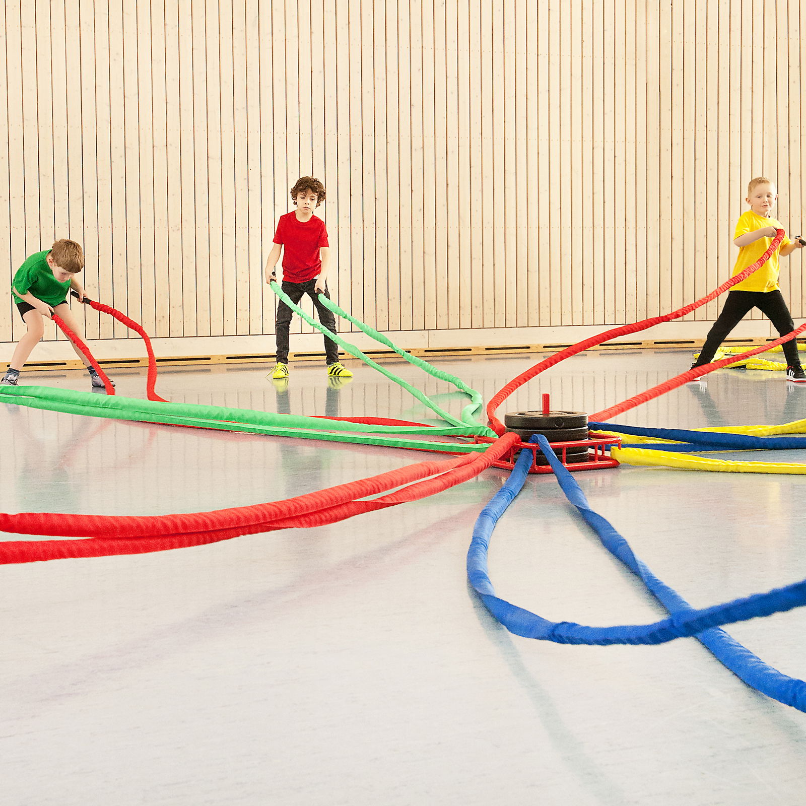 K-Ropes Базово оборудване, 8 въжета включително 4 тежести