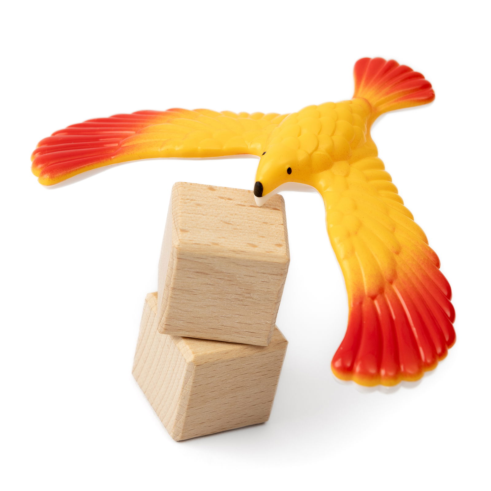 602-241_magischervogel_d 602-241_magischervogel_d