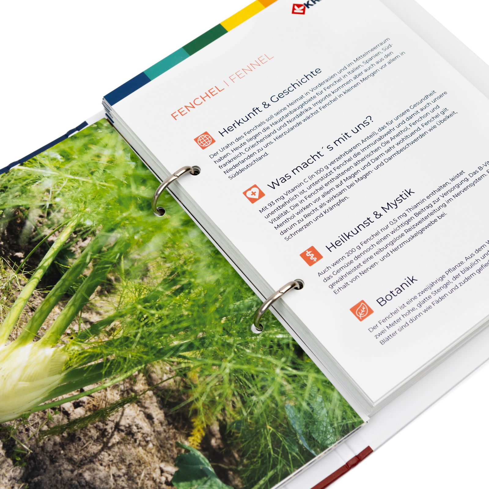 Vegetable Detective I Spy Scene Game Vegetable Detective I Spy Scene Game