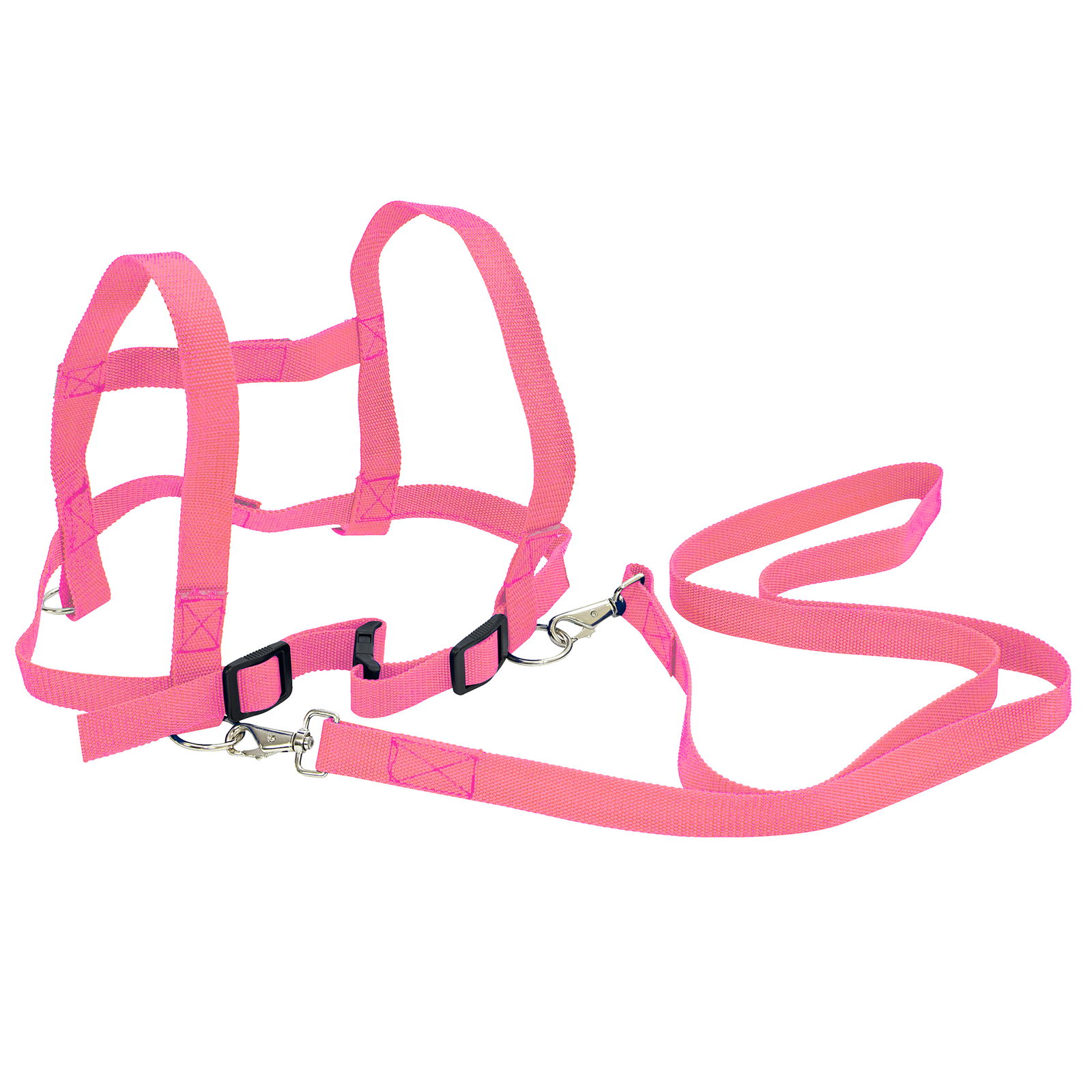 205-183_pferdeleine_rosa_a