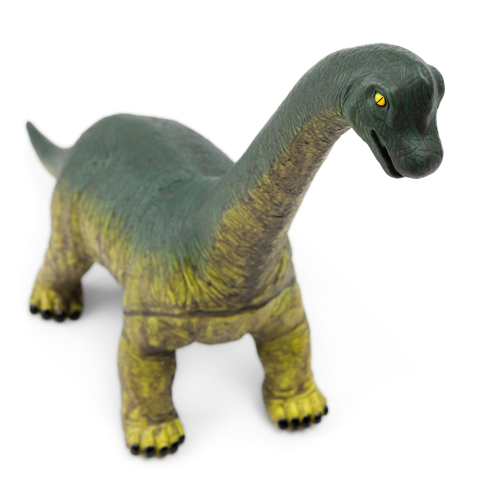 Dinosaur Brachiosaurus, XL Dinosaur Brachiosaurus, XL
